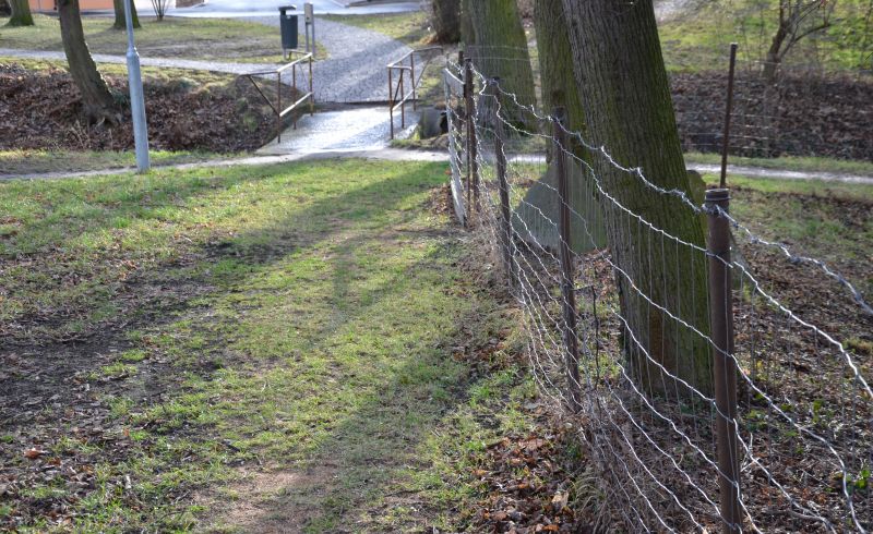 Wire Fencing Service